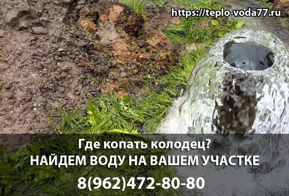 Поиск воды на участке в Дмитрове перед копкой колодца
